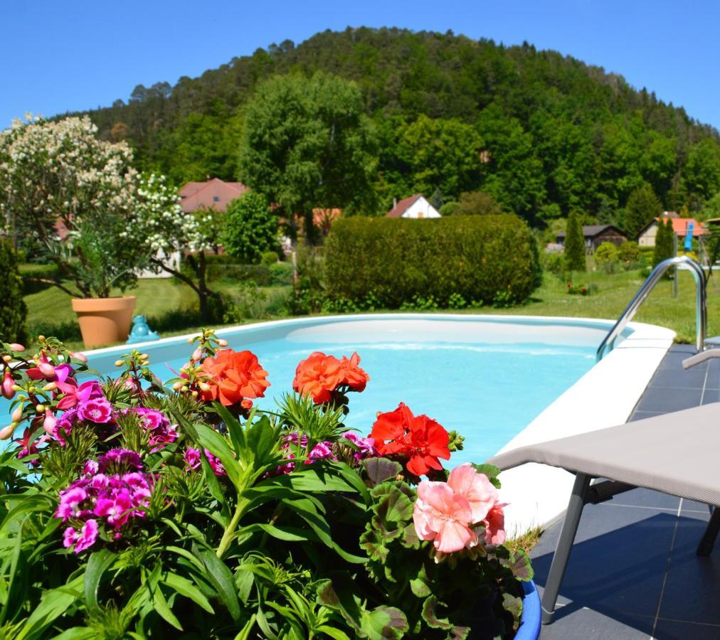 Le Gîte de l'Ecureuil Sturzelbronn Extérieur photo