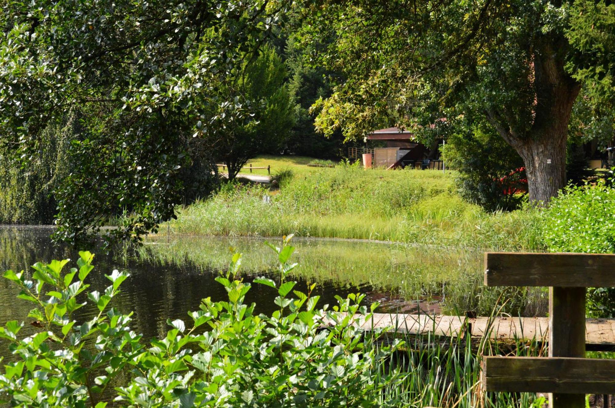 Le Gîte de l'Ecureuil Sturzelbronn Extérieur photo