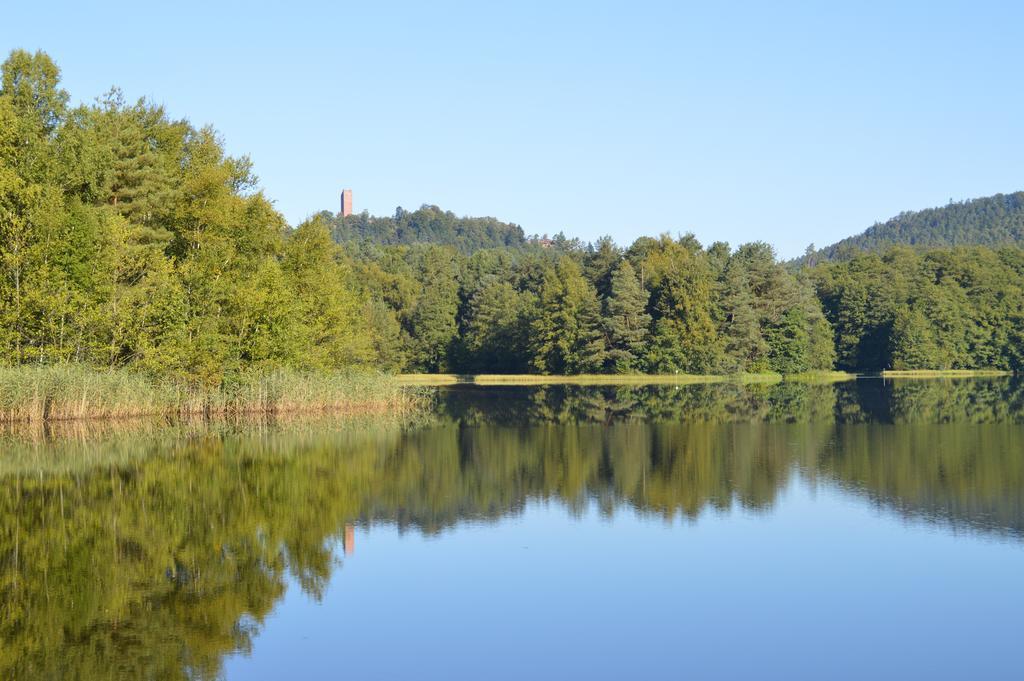 Le Gîte de l'Ecureuil Sturzelbronn Extérieur photo