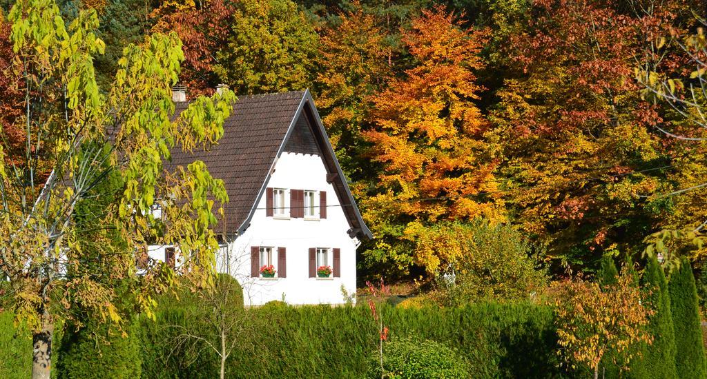 Le Gîte de l'Ecureuil Sturzelbronn Extérieur photo
