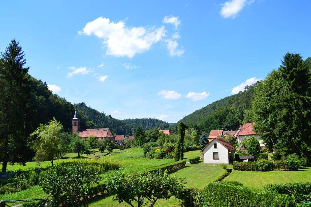 Le Gîte de l'Ecureuil Sturzelbronn Extérieur photo