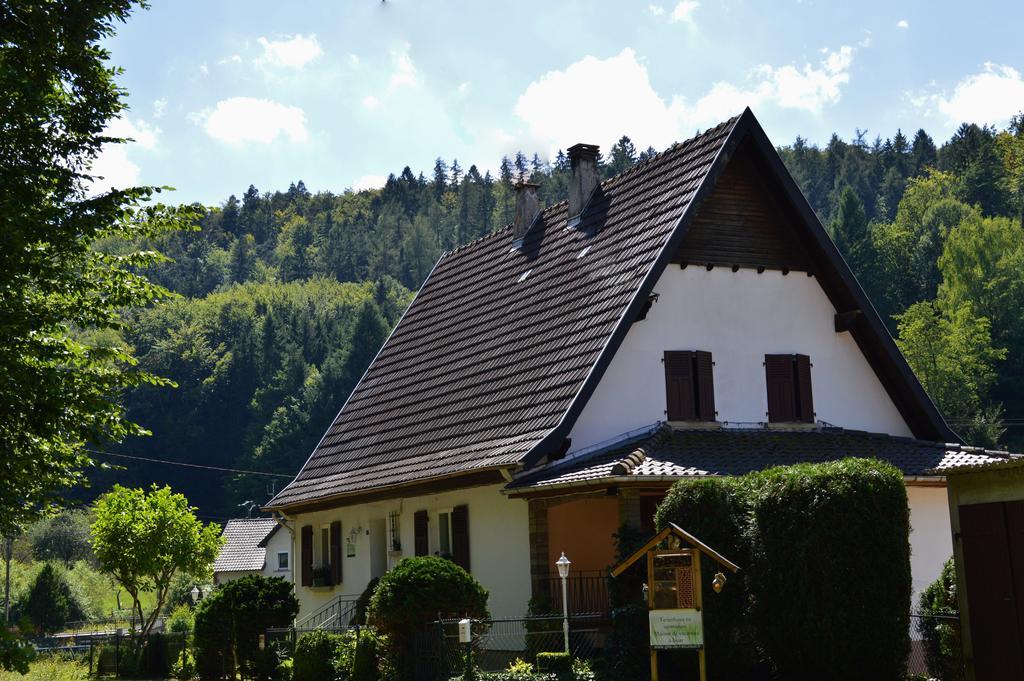 Le Gîte de l'Ecureuil Sturzelbronn Extérieur photo