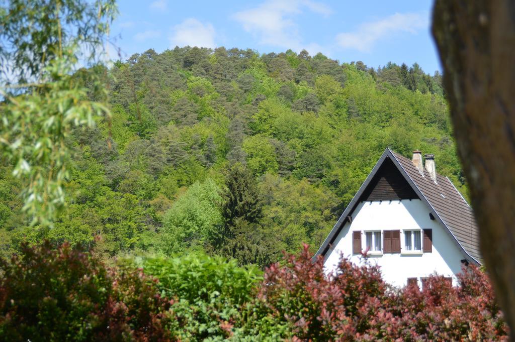 Le Gîte de l'Ecureuil Sturzelbronn Extérieur photo