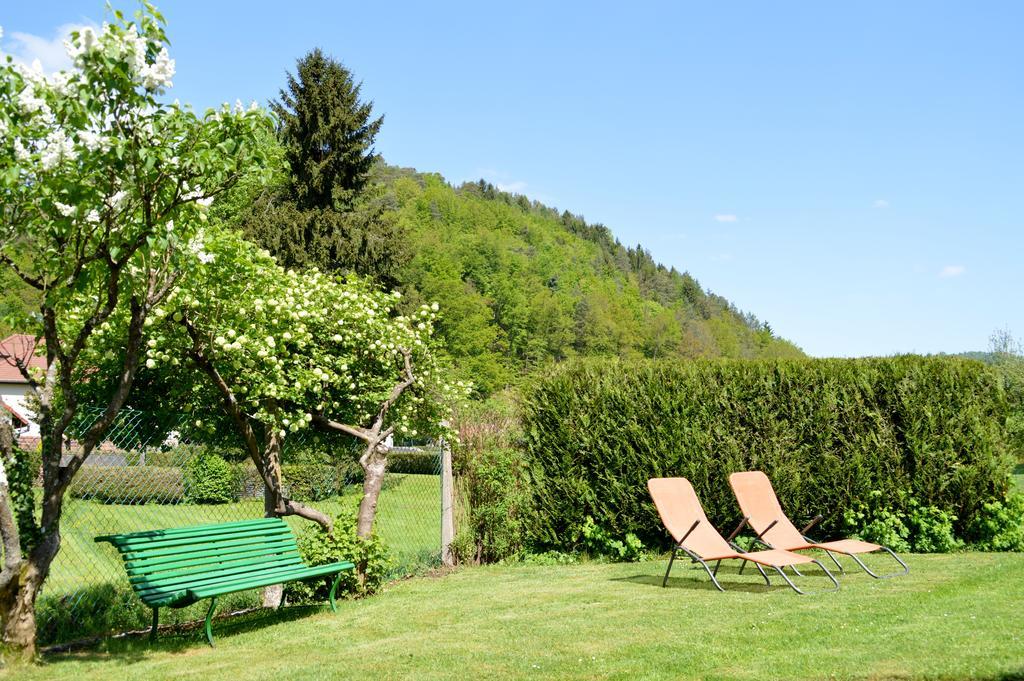 Le Gîte de l'Ecureuil Sturzelbronn Extérieur photo