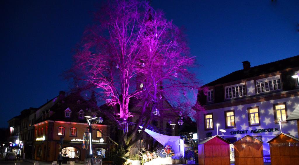 Le Gîte de l'Ecureuil Sturzelbronn Extérieur photo