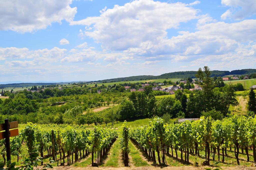 Le Gîte de l'Ecureuil Sturzelbronn Extérieur photo