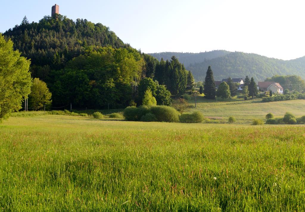 Le Gîte de l'Ecureuil Sturzelbronn Extérieur photo