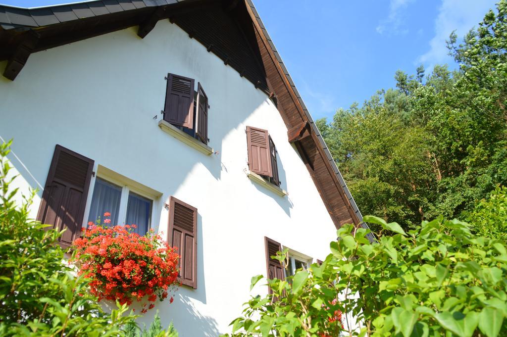 Le Gîte de l'Ecureuil Sturzelbronn Extérieur photo