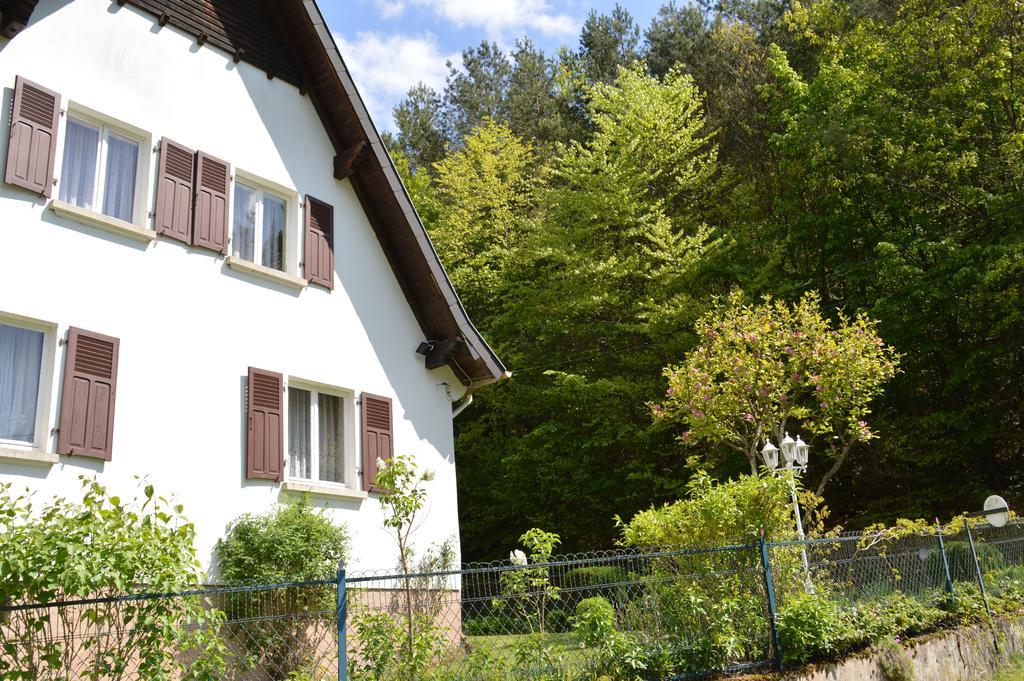 Le Gîte de l'Ecureuil Sturzelbronn Extérieur photo