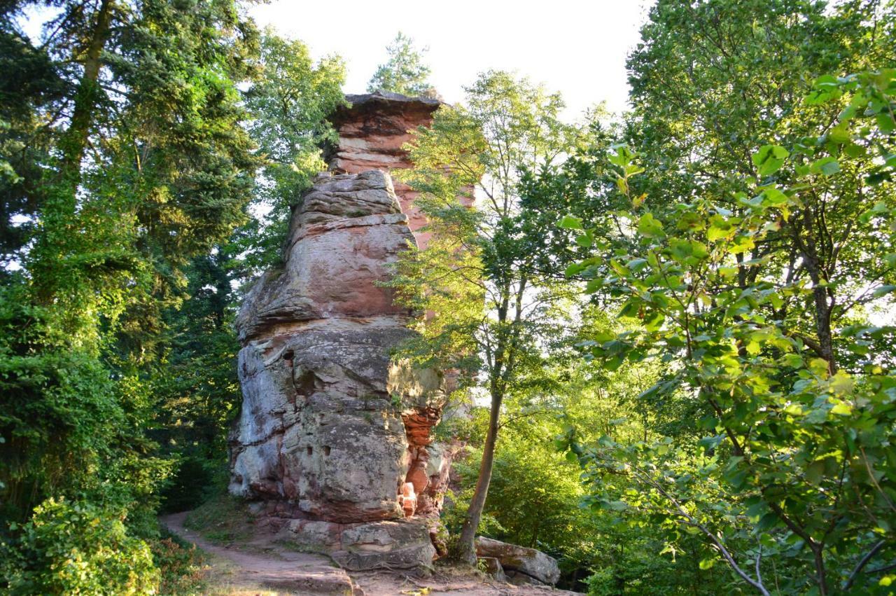 Le Gîte de l'Ecureuil Sturzelbronn Extérieur photo